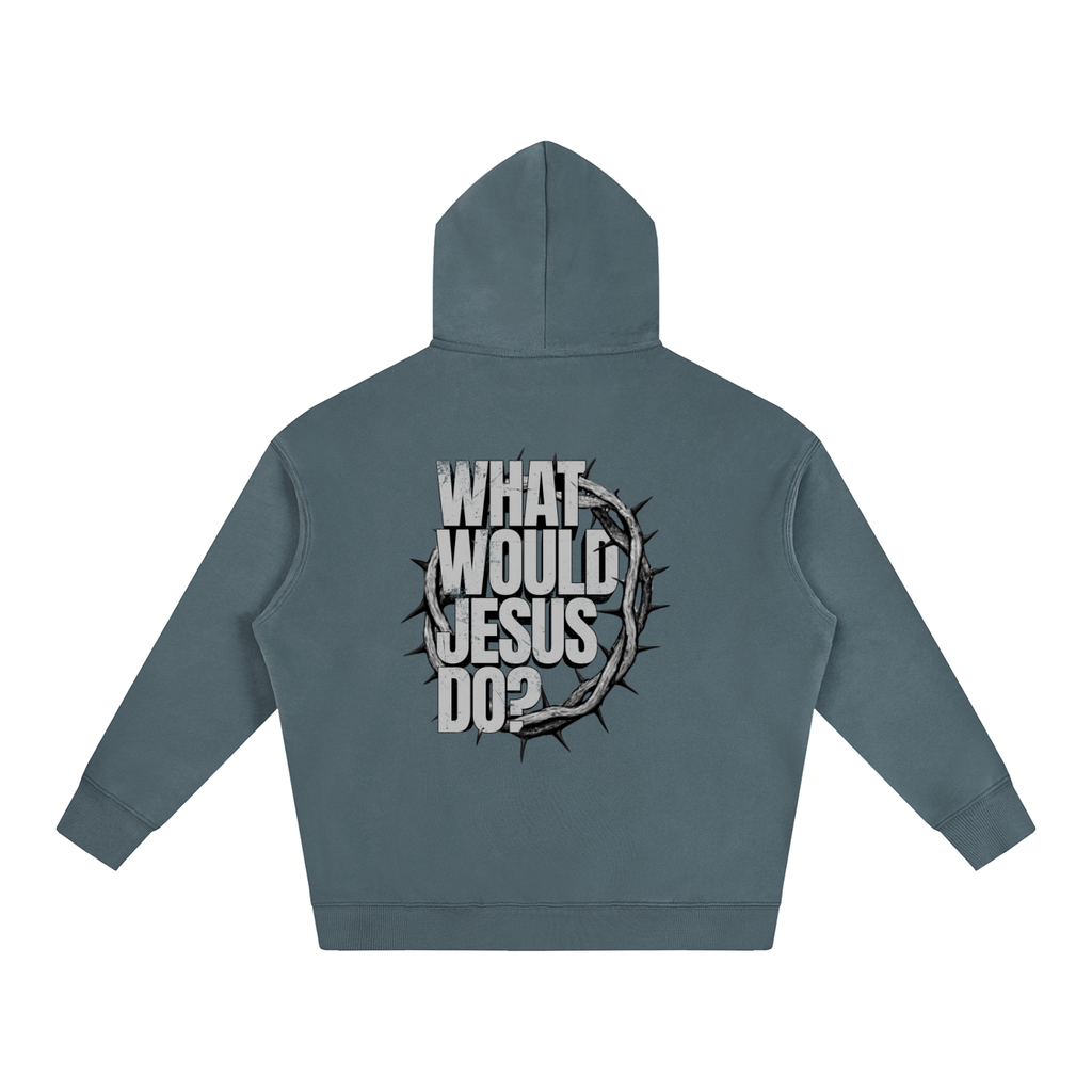 What Would Jesus Do? Hoodie