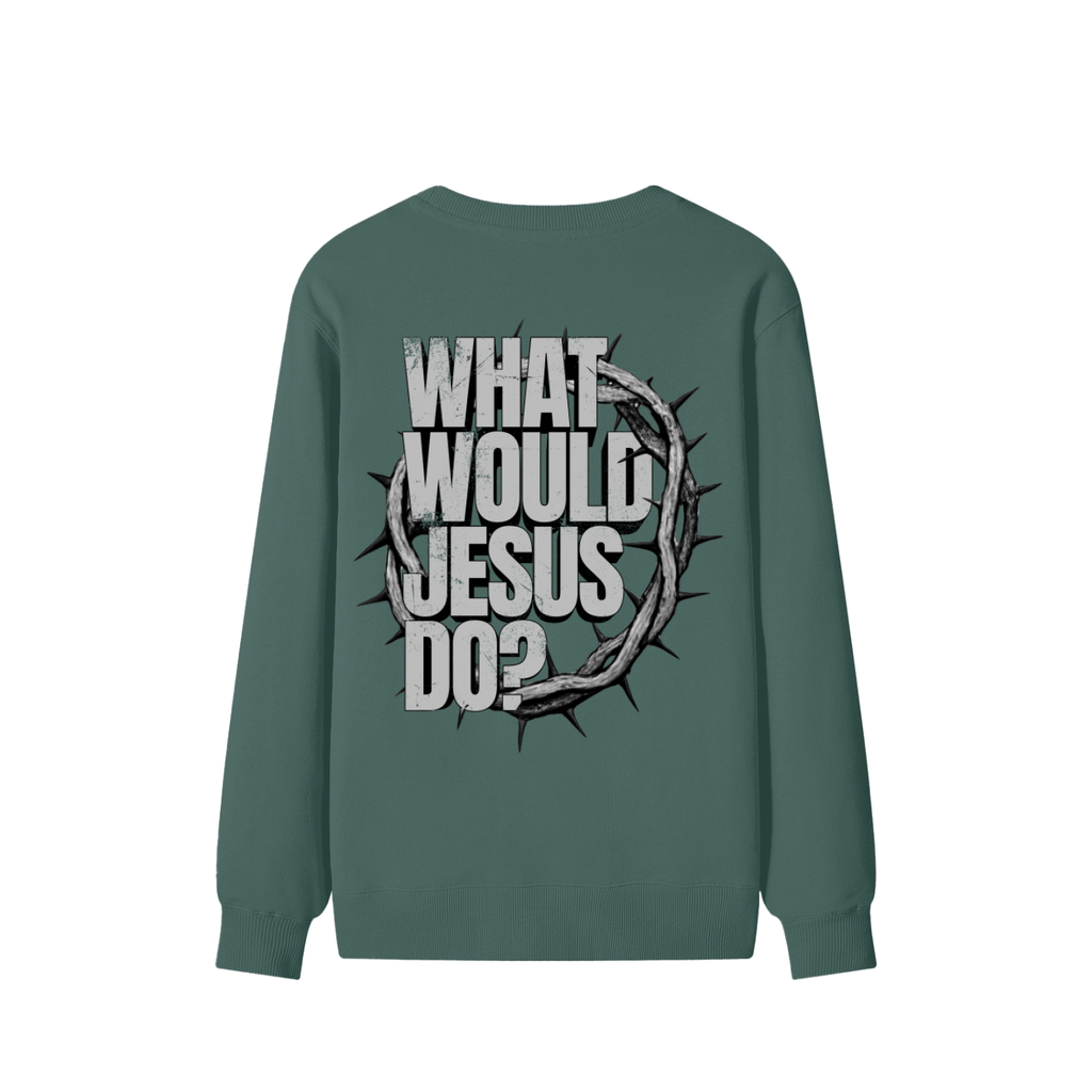 What Would Jesus Do? Sweatshirt