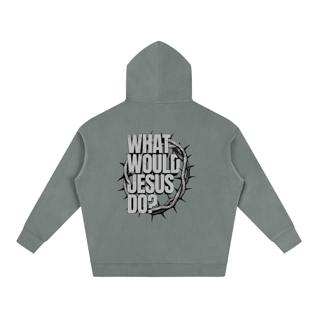 What Would Jesus Do? Hoodie