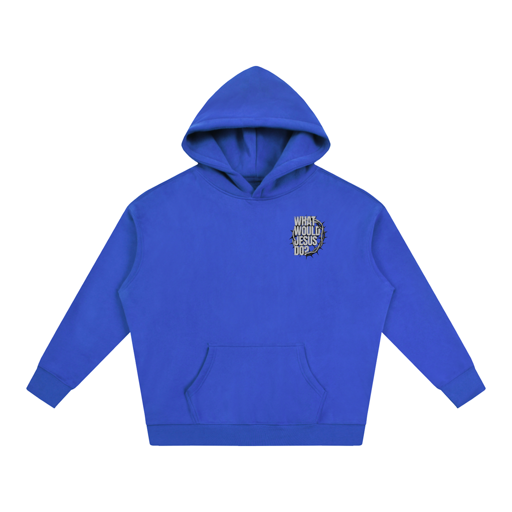 What Would Jesus Do? Hoodie