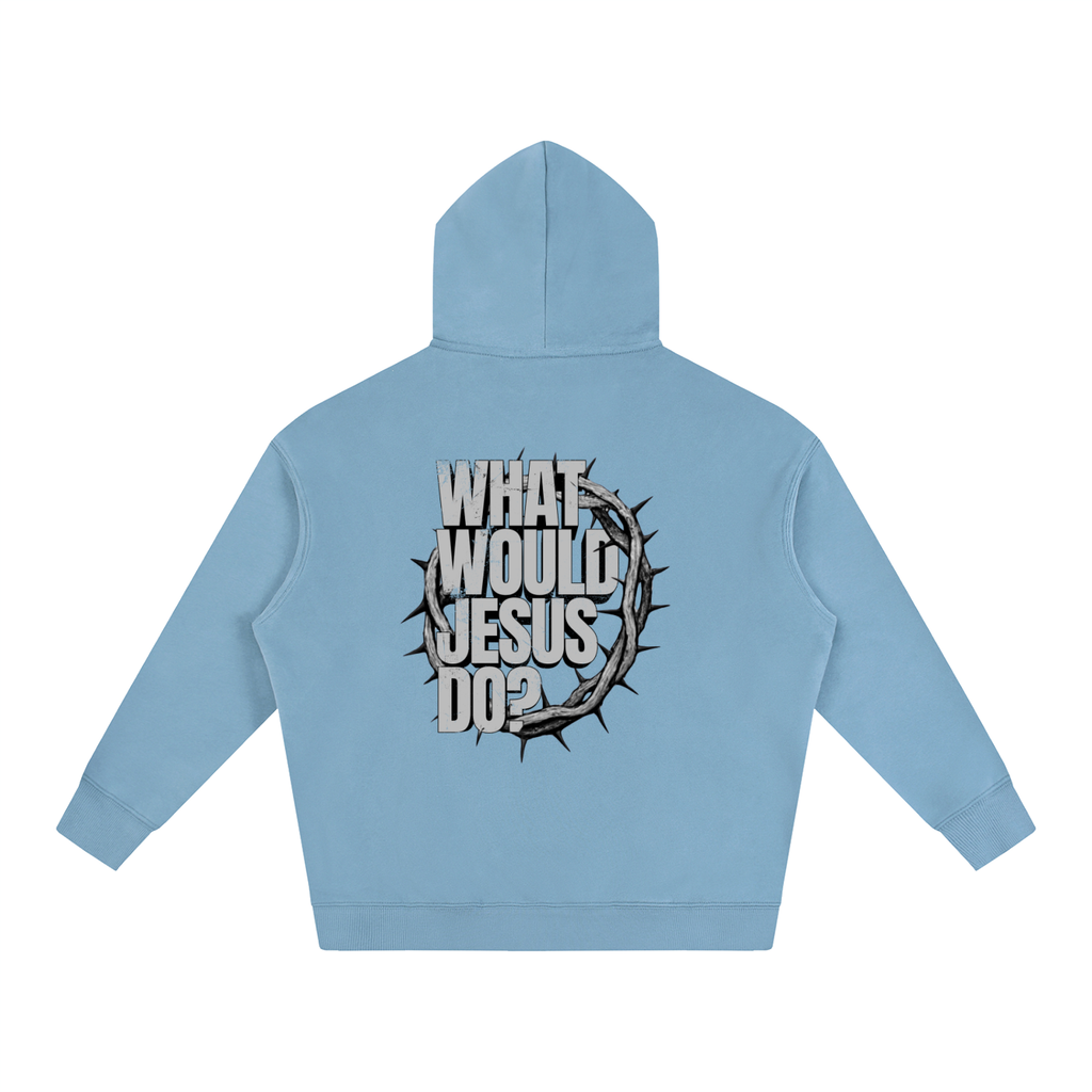 What Would Jesus Do? Hoodie