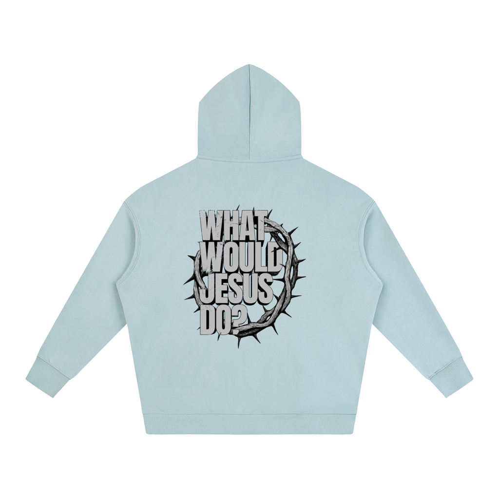 What Would Jesus Do? Hoodie