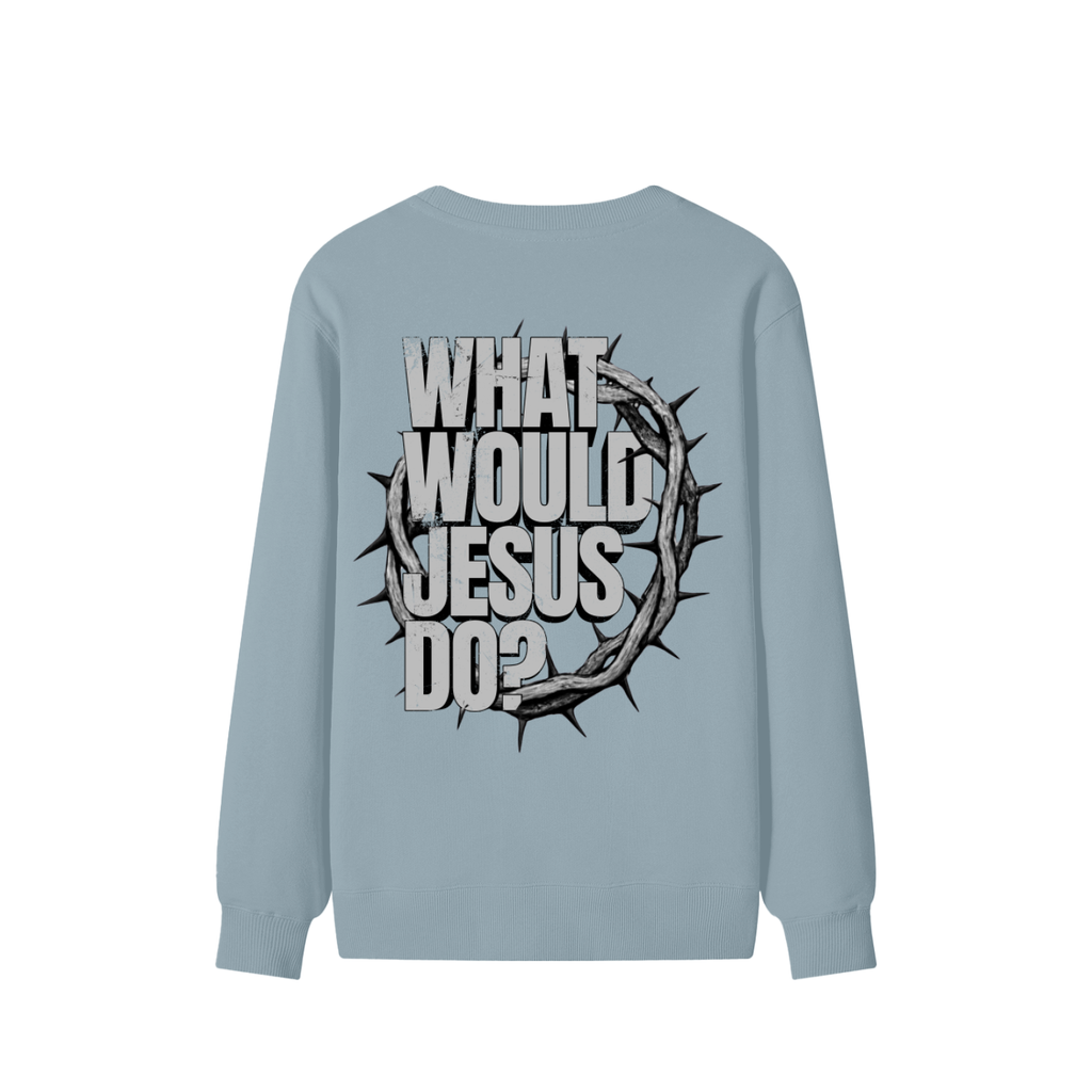 What Would Jesus Do? Sweatshirt